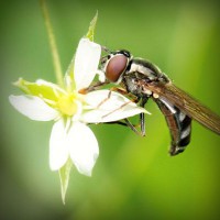 /album/motoweb/photolia-a02-jpg/