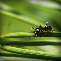 /album/motoweb/photolia-a05-jpg/